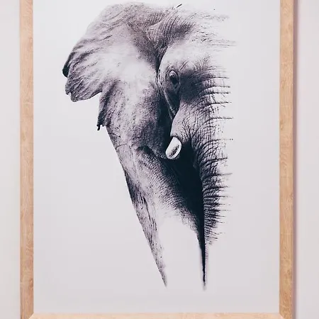 Appartamento Elephant By Wanderlust Madeira - 2br With Terrace, Side Sea View And Pool Access