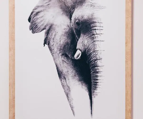 Διαμέρισμα Elephant By Wanderlust Madeira - 2br With Terrace, Side Sea View And Pool Access