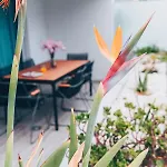 Elephant By Wanderlust Madeira - 2br With Terrace, Side Sea View And Pool Access *